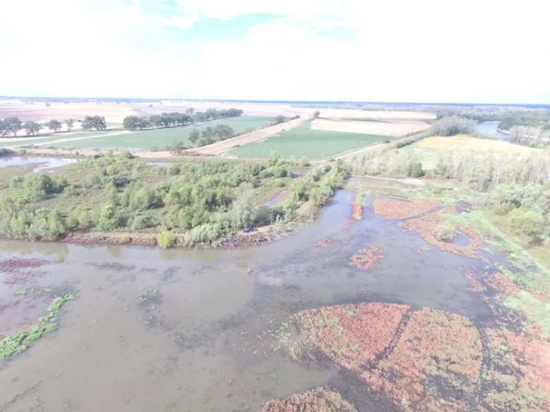 Getting Your Wetland Ready for Fall 2019