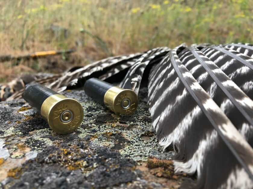 BROWNING AMMO TSS TUNGSTEN TURKEY AMMO REVIEW BROWNING AMMO TSS TUNGSTEN TURKEY AMMO REVIEW