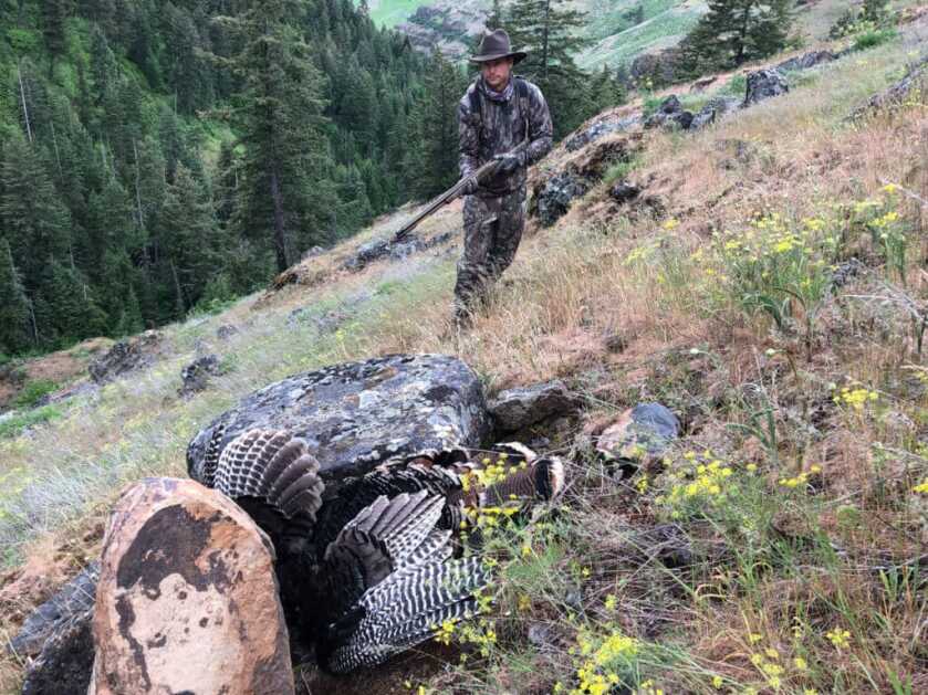 BROWNING AMMO TSS TUNGSTEN TURKEY AMMO REVIEW BROWNING AMMO TSS TUNGSTEN TURKEY AMMO REVIEW