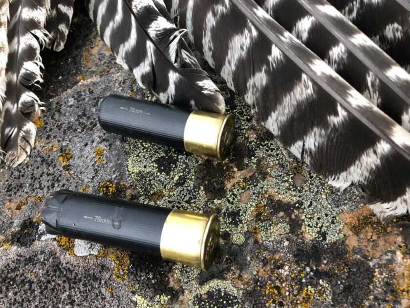 BROWNING AMMO TSS TUNGSTEN TURKEY AMMO REVIEW BROWNING AMMO TSS TUNGSTEN TURKEY AMMO REVIEW