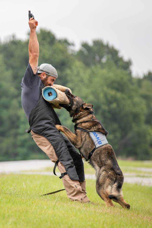 HAVA/ACADEMI Family Range Day Features Attack Dog Demo