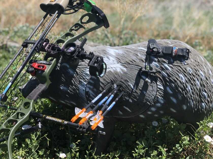 Archers: Beat Target Panic! Archers: Beat Target Panic!