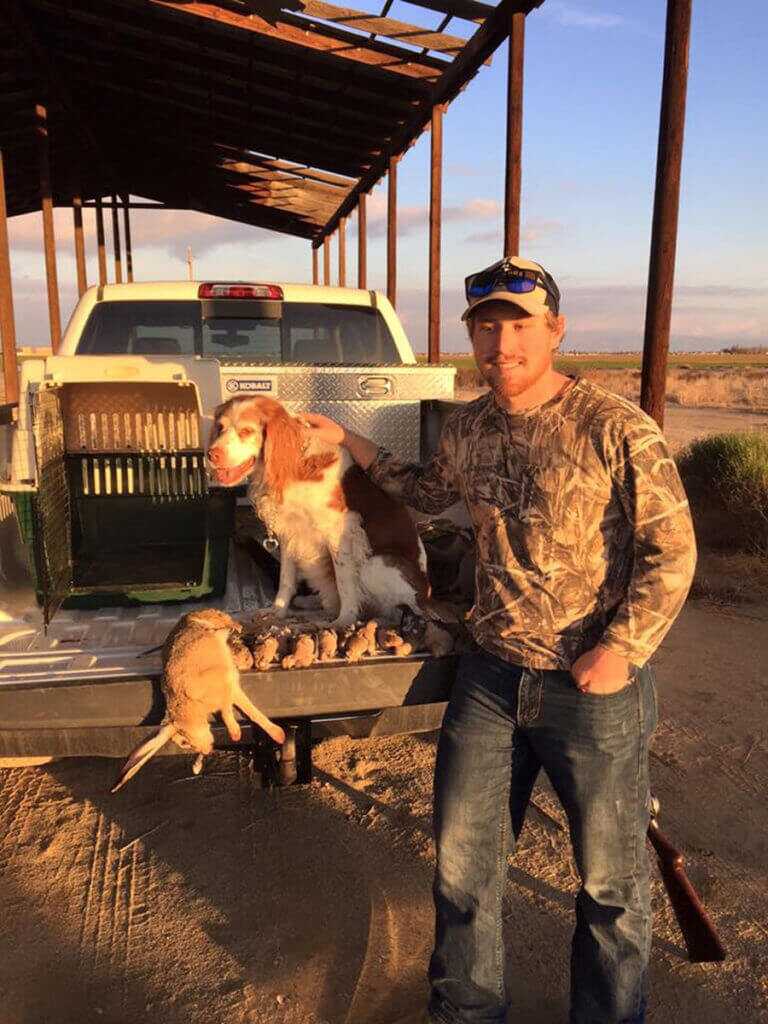 5 Dove Hunting Tips 5 Dove Hunting Tips