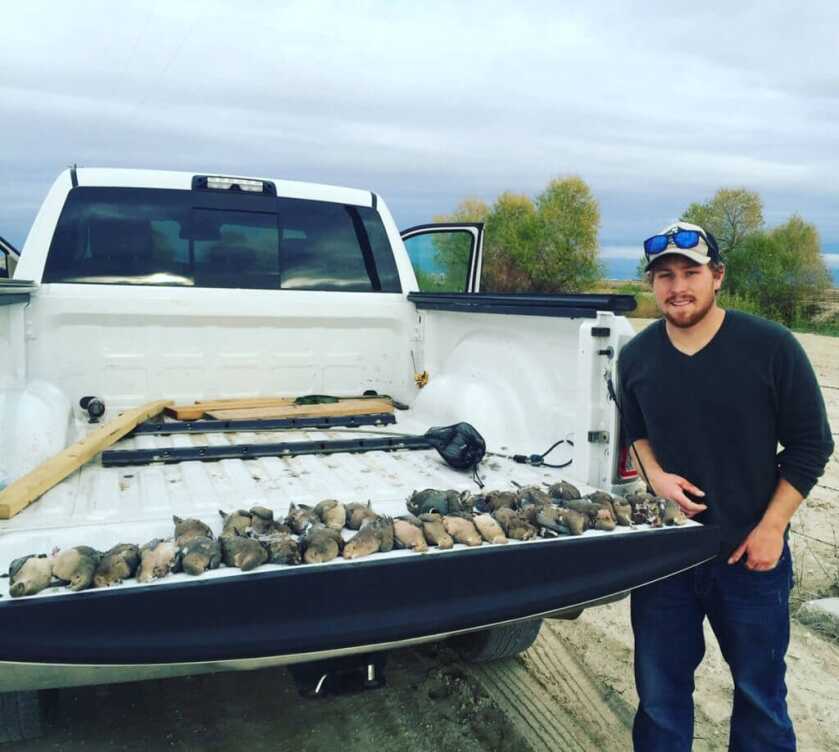 5 Dove Hunting Tips 5 Dove Hunting Tips