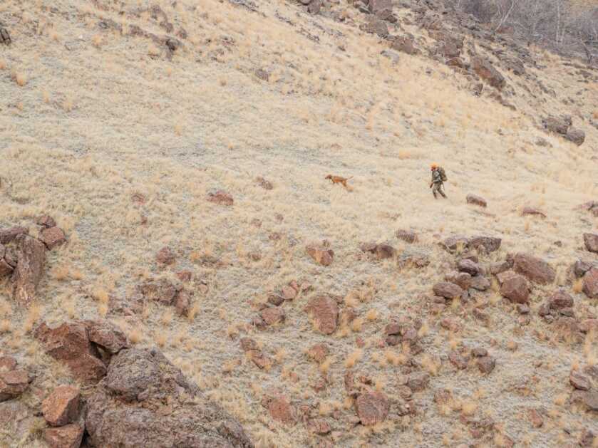 It's Chukar Time