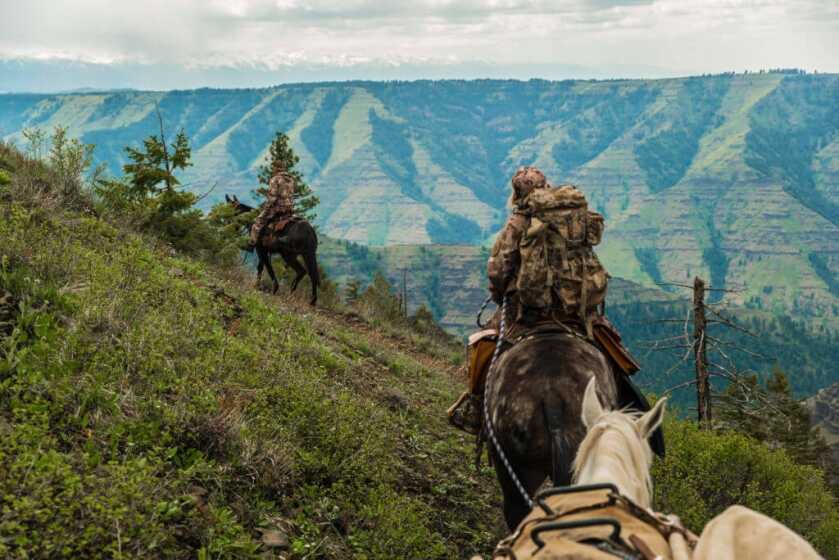 5 Tips For Packing Gear With Horses & Mules 5 Tips For Packing Gear With Horses & Mules