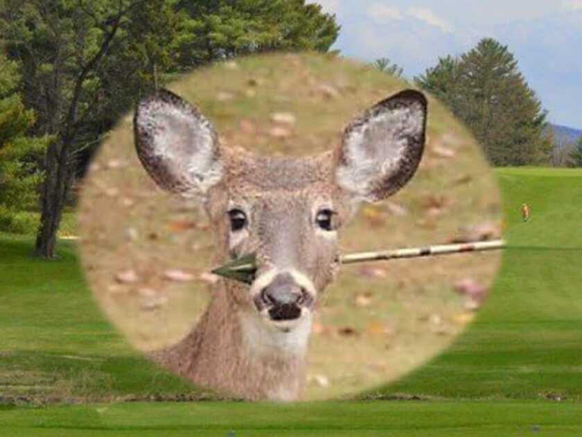 New Jersey Anti-Hunting Activists Work To Ban Hunting Town By Town New Jersey Anti-Hunting Activists Work To Ban Hunting Town By Town