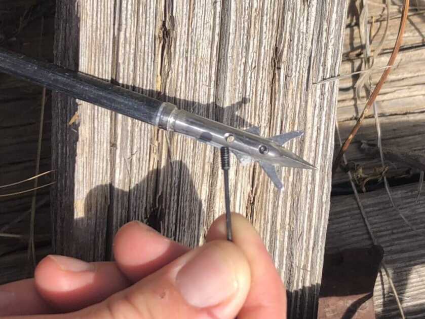 Field Test: SEVR 2.1 Titanium Broadhead Field Test: SEVR 2.1 Titanium Broadhead