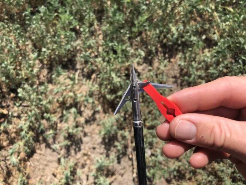 Field Test: SEVR 2.1 Titanium Broadhead Field Test: SEVR 2.1 Titanium Broadhead