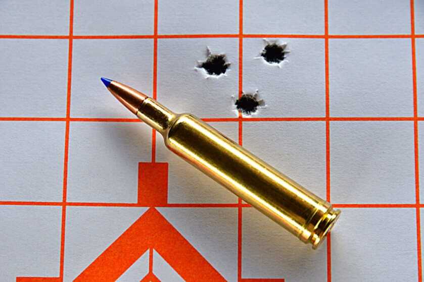 Weatherby Mark V First Lite Review Weatherby Mark V First Lite Review