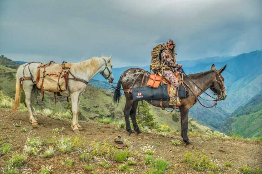 5 Tips For Packing Gear With Horses & Mules 5 Tips For Packing Gear With Horses & Mules