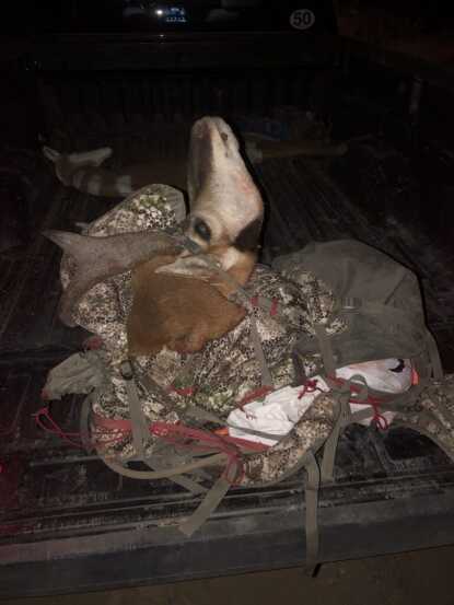 True Grit: Hunter's 2019 Pronghorn True Grit: Hunter's 2019 Pronghorn