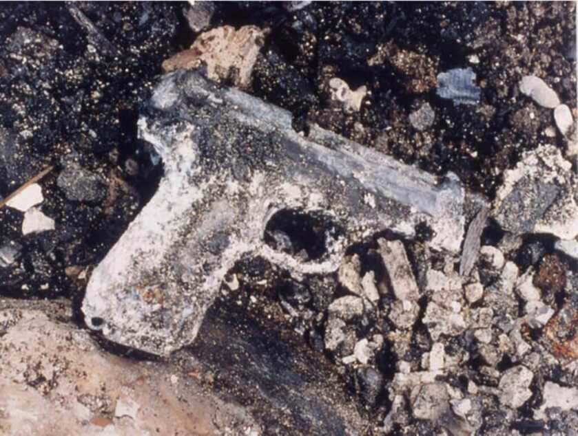 The Guns of the Waco Disaster: A Cautionary Tale The Guns of the Waco Disaster: A Cautionary Tale