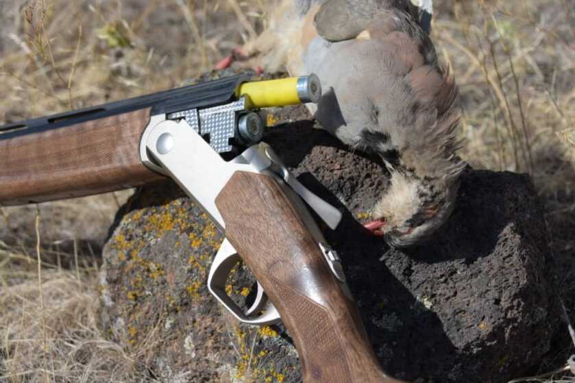 Silver Eagle's Light Super 20 Gauge Over Under gets Field Tested: Full Review