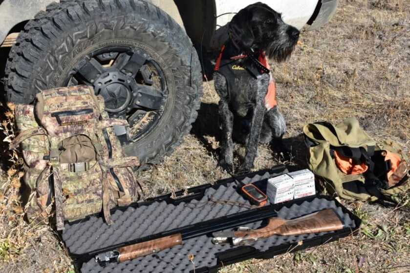 Silver Eagle's Light Super 20 Gauge Over Under gets Field Tested: Full Review