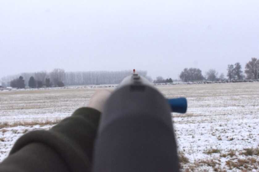 Stoeger M3K Freedom Series 3-Gun Shotgun: A Competition Ready Budget Option Stoeger M3K Freedom Series 3-Gun Shotgun: A Competition Ready Budget Option