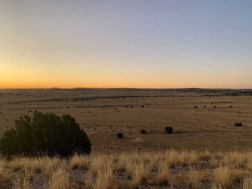 The Worst Antelope Hunt Ever The Worst Antelope Hunt Ever