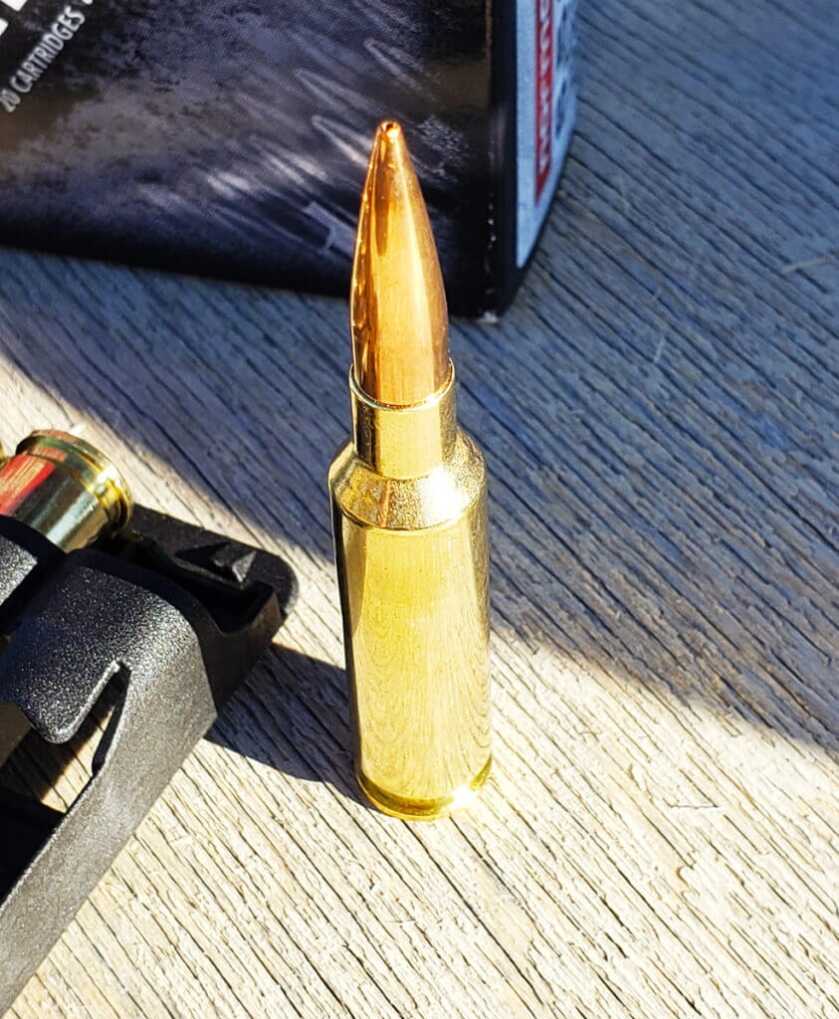 Ammo Tests - Norma Ammunition Round-Up Ammo Tests - Norma Ammunition Round-Up