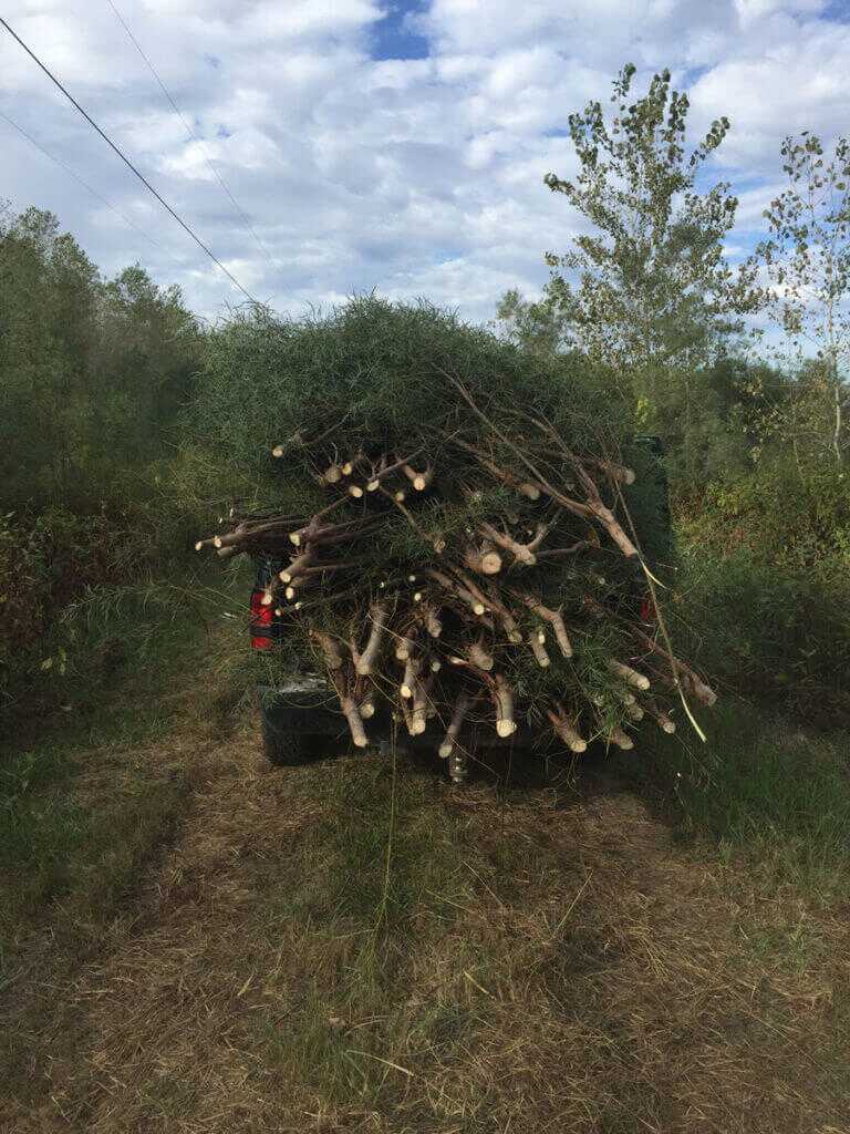 More Places to Hunt Waterfowl More Places to Hunt Waterfowl