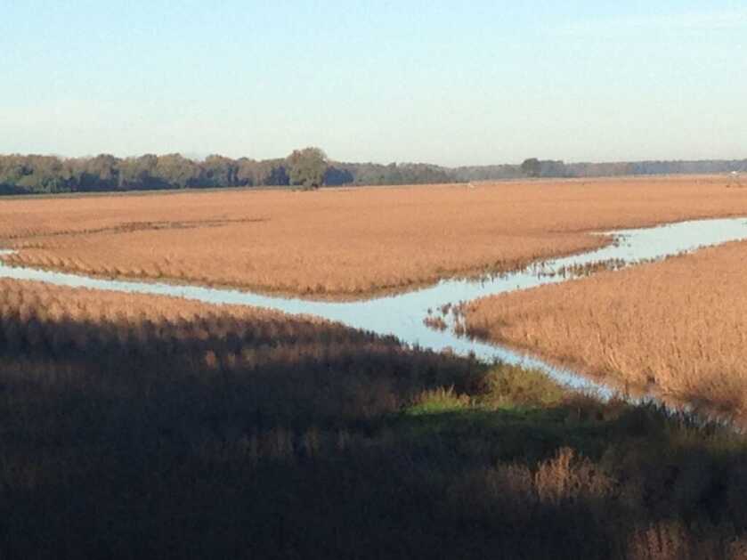 More Places to Hunt Waterfowl More Places to Hunt Waterfowl