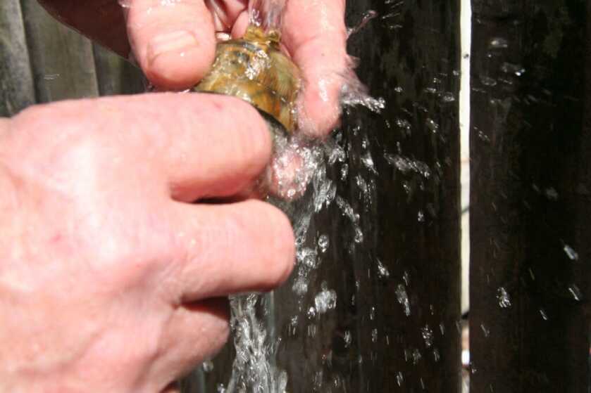 Updating Your Gun with Hydro-dipping: How To Updating Your Gun with Hydro-dipping: How To
