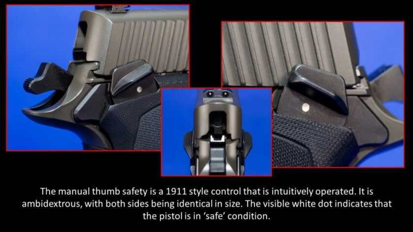 10mm Gets Sophisticated… New SIG Legion P220 SAO 10mm Gets Sophisticated… New SIG Legion P220 SAO