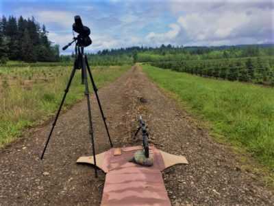 Shoot Like SOCOM: The 6.5 Creedmoor Cartridge & its Long Distance Relationship with CMMG's Endeavor Mk3 Shoot Like SOCOM: The 6.5 Creedmoor Cartridge & its Long Distance Relationship with CMMG's Endeavor Mk3