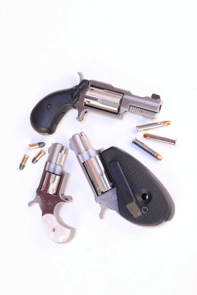 The Tiny Pocket-Sized North American Arms Zebra Killer The Tiny Pocket-Sized North American Arms Zebra Killer
