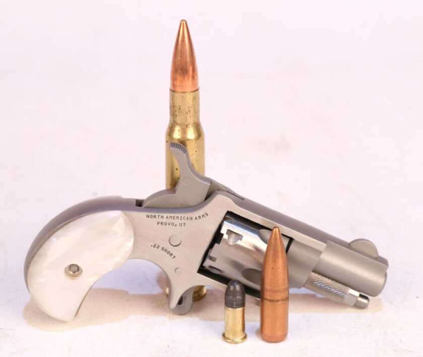 The Tiny Pocket-Sized North American Arms Zebra Killer The Tiny Pocket-Sized North American Arms Zebra Killer
