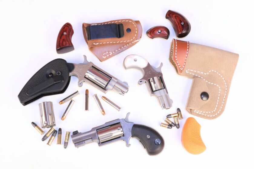 The Tiny Pocket-Sized North American Arms Zebra Killer The Tiny Pocket-Sized North American Arms Zebra Killer
