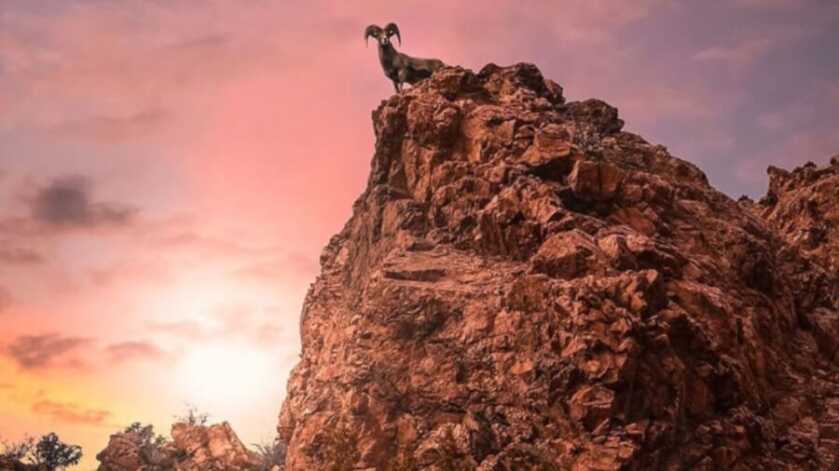 Colorado Parks Commission Now Requires License for Hiking on Park Land Colorado Parks Commission Now Requires License for Hiking on Park Land