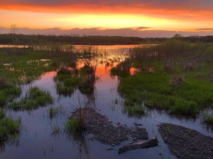 Missouri Issues Five Elk Permits for Fall of 2020 Missouri Issues Five Elk Permits for Fall of 2020