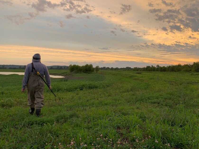 Frog Gigging Frog Gigging