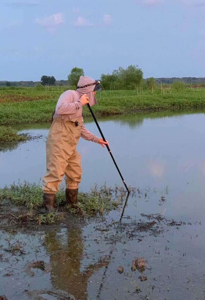 Frog Gigging Frog Gigging
