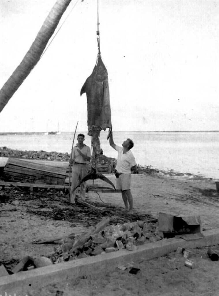 Ernest Hemingway’s Tommy Gun: Full Auto Shark Repellent Ernest Hemingway’s Tommy Gun: Full Auto Shark Repellent