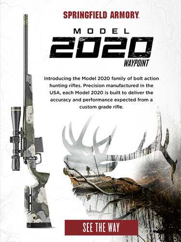 Take the Shot? A Rutting Texas Whitetail Offers a Challenging, Head-on Shot - Presented by Springfield Armory