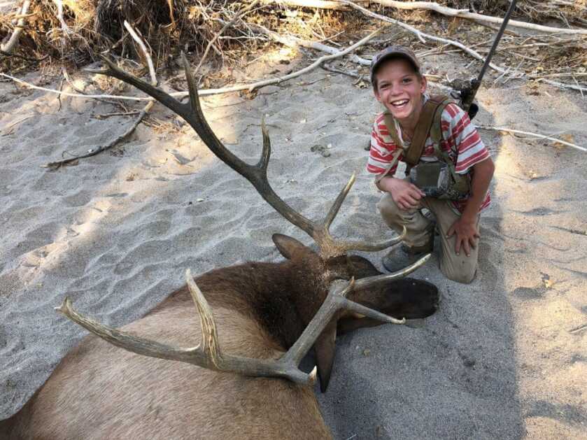 TAKE THE SHOT? A Bull Elk Presents A Difficult Shot Angle To a Young First-Time Elk Hunter - Presented by: Springfield Armory TAKE THE SHOT? A Bull Elk Presents A Difficult Shot Angle To a Young First-Time Elk Hunter - Presented by: Springfield Armory