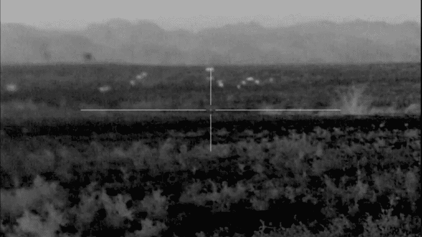 Texas Hog Eradication with the Pulsar Thermion XQ50
