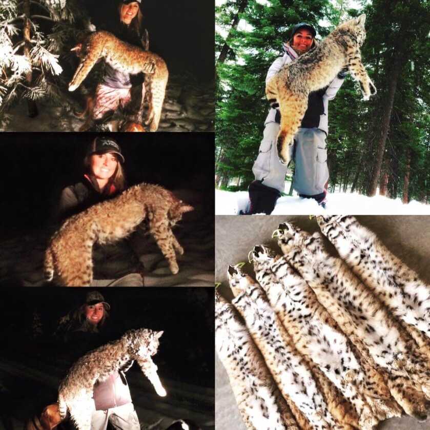 Tips For Winter Hound Hunts Tips For Winter Hound Hunts