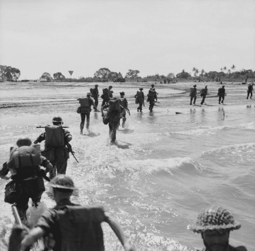 Don't Go Into the Swamp: Crocodiles and the Japanese Type 99 Rifle Don't Go Into the Swamp: Crocodiles and the Japanese Type 99 Rifle