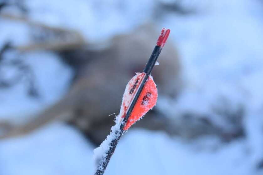 In the Woods: December Archery Deer Hunt in Idaho Part 3 of 3 In the Woods: December Archery Deer Hunt in Idaho Part 3 of 3