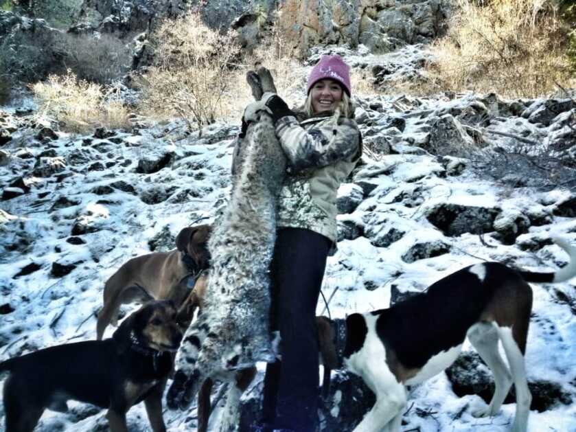Tips For Winter Hound Hunts Tips For Winter Hound Hunts