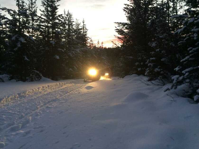 Tips For Winter Hound Hunts Tips For Winter Hound Hunts