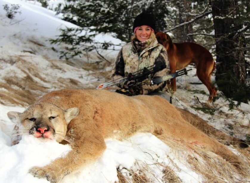 Tips For Winter Hound Hunts Tips For Winter Hound Hunts