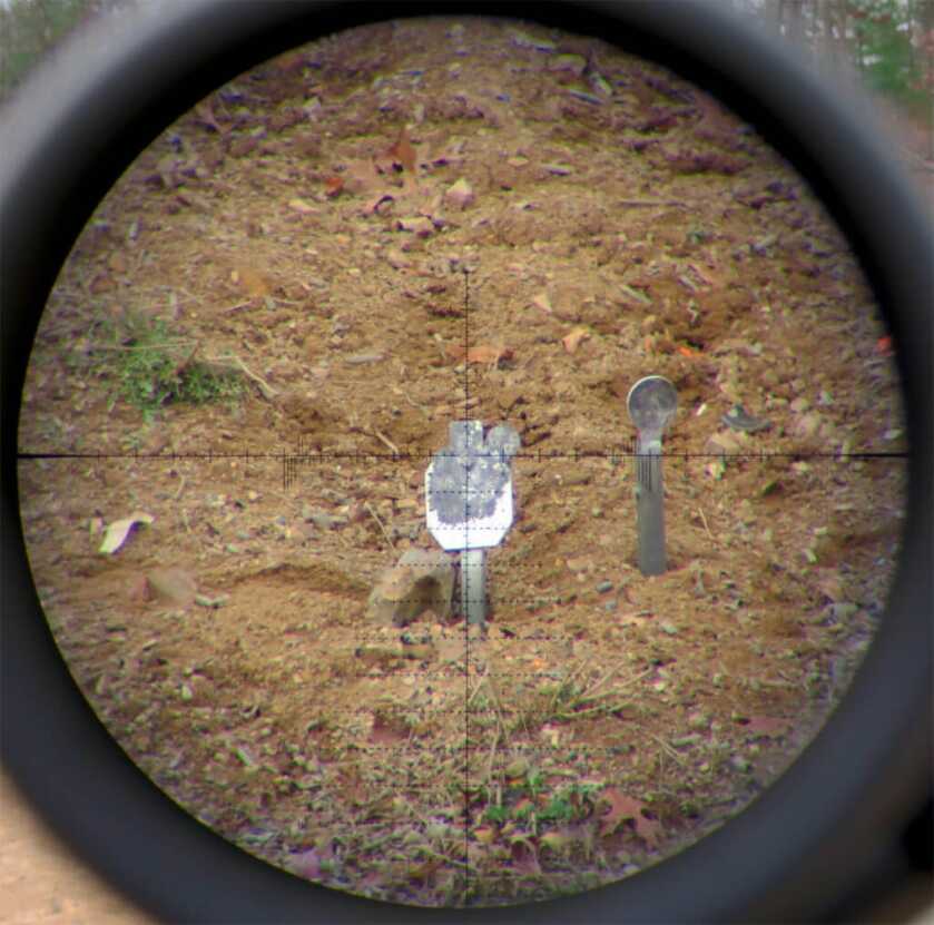 Review: Burris RT25 Long Range