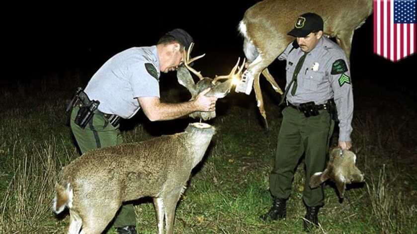 Kentucky Wildlife Officials Use Robo-Deer to Catch Poachers Kentucky Wildlife Officials Use Robo-Deer to Catch Poachers