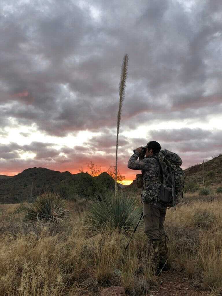 Desert Deer: A Week of Adventure Desert Deer: A Week of Adventure