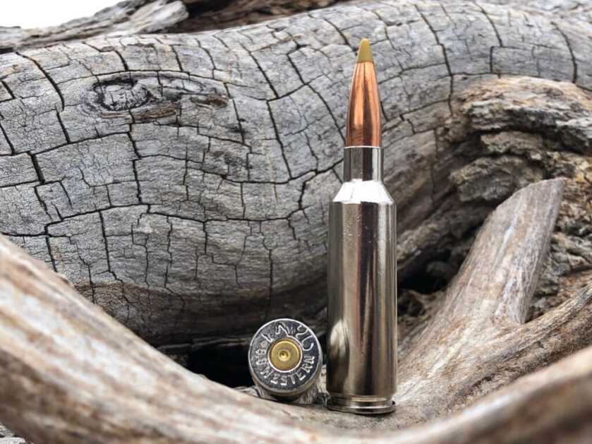 Take the Shot? A World-Class Coues Deer Offers A Challenging, Long-Range Shot In High-Wind Conditions - Presented by Springfield Armory Take the Shot? A World-Class Coues Deer Offers A Challenging, Long-Range Shot In High-Wind Conditions - Presented by Springfield Armory