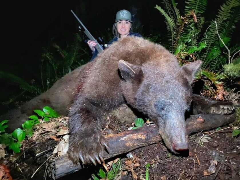 5 Tips For Baiting Bears 5 Tips For Baiting Bears