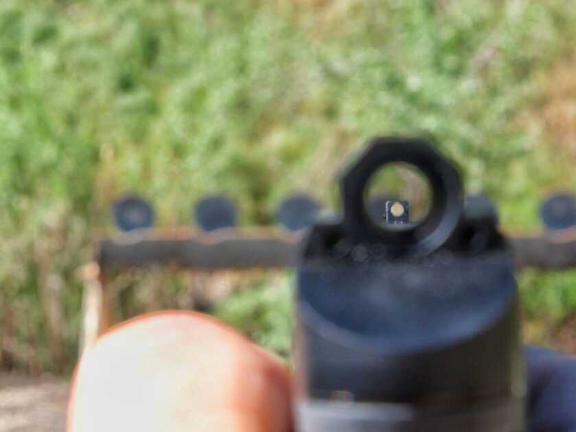 17 Facts about the Leupold DeltaPoint Micro and Field Test Report 17 Facts about the Leupold DeltaPoint Micro and Field Test Report